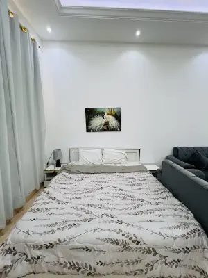 صورة Furnished Studio 312